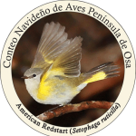 CBC-Logo